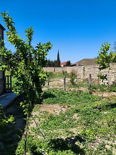 9 mikrarayon: 9 sot, Tikinti, Makler, Kupça (Çıxarış) — 3