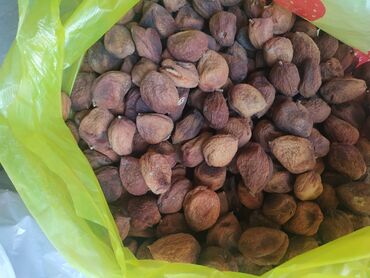 курага купить: Предлагаем вам качественный домашний урюк — ароматный, насыщенный, в