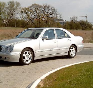 2 gz: Колеса в сборе 205 / 55 / R 16, Зима, Б/у, Комплект, Легковые, Литые, отверстий - 5 — 2