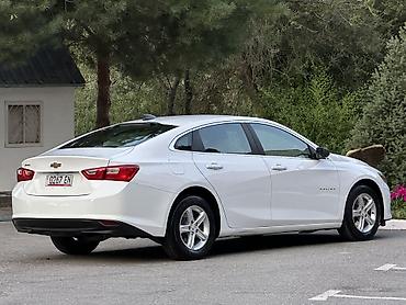 Chevrolet: Chevrolet Malibu: 2020 г., 1.5 л, Автомат, Бензин, Седан — 4