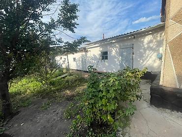 студия комната: Продаётся одноэтажный дом с двором и хозяйственными постройками, в 5 — 6