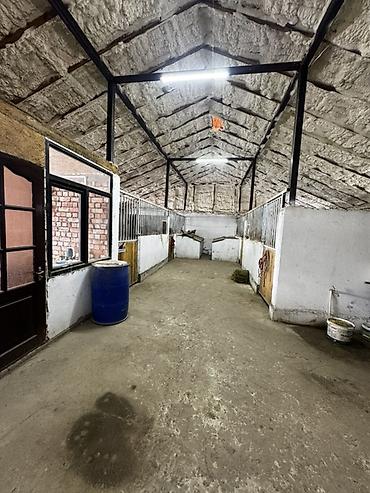 Продажа сельхоз предприятий: Конюшня/стабиль с утеплением и вспомогательными помещениями Описание — 5