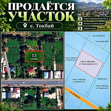 сокулуе: 13 соток, Курулуш, Кызыл китеп — 1