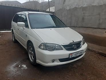 Honda: Honda Odyssey: 2003 г., 2.3 л, Автомат, Бензин, Минивэн — 1