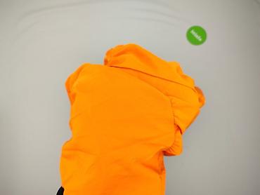 Komplety eleganckie: Elegancki komplet, rozmiar XL — 9