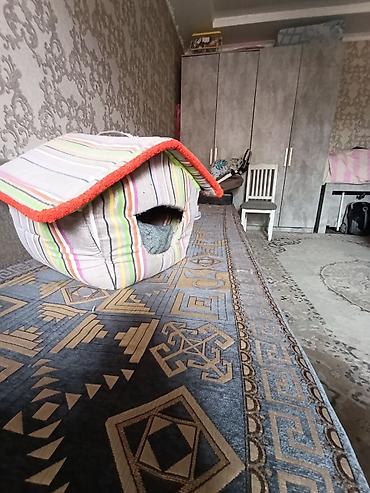 кой коозу: Кошкин дом из поролона мягкий удобный для кошки если живёте на — 3