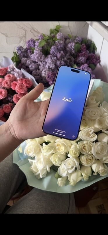 дисплей айфон хс макс: IPhone 16 Pro Max, Desert Titanium, Коробка, 100 %