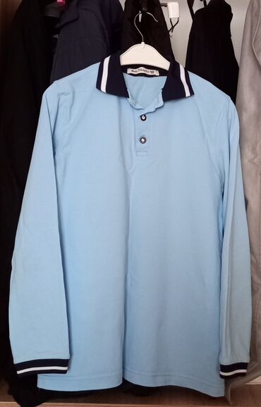 Рубашки: Мужское поло, 2XL (EU 44), цвет - Синий