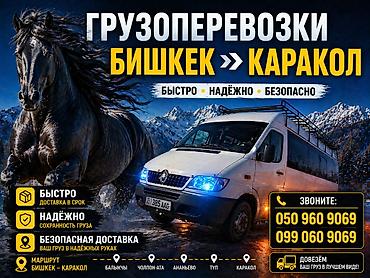 sprinter 315: Грузоперевозки по маршруту Бишкек → Каракол - Быстро: доставка в — 1