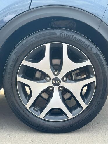 Kia: Kia Sportage: 2018 г., 2 л, Автомат, Дизель, Внедорожник — 12