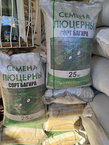 Люцерна: Беде Урук,семена люцерны люцерна высший сортсемена клевера для — 4