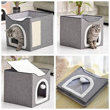 Зоотовары: ПРОДАЮ КОШАЧЬЮ МЯТУ(АНТИСТРЕСС),ПОРАДУЙТЕ СВОГО КОТИКА ТАКОЙ — 26