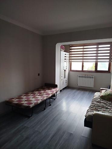 elmler ev: Elmler Akademiyası Medeniyyet ve incesenet universitetinin yanında — 2