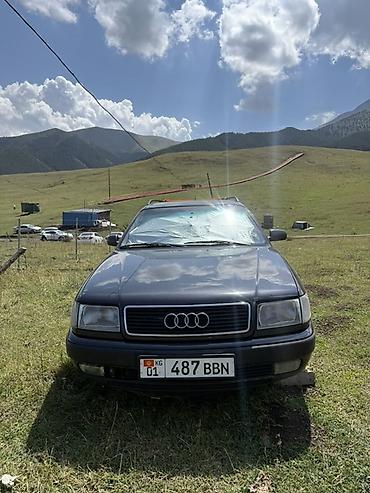 жили машина: Audi 100: 1994 г., 2.8 л, Автомат, Бензин, Универсал — 1