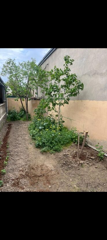 Qonaq otağı dəstləri: Xırdalanda köhnə bazarın yanında KUPÇALI 4 otaqlı 4 sotlu 146kv həyət — 23