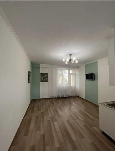 Продажа квартир: 1 комната, 24 м², Малосемейка, 3 этаж, Евроремонт — 6