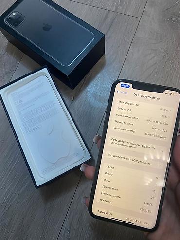 mac mini 4: IPhone 11 Pro Max, Б/у, 256 ГБ, Space Gray, Коробка, 76 % — 2