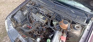 Volkswagen: Volkswagen Golf: 1995 г., 2 л, Механика, Бензин, Хэтчбэк — 9