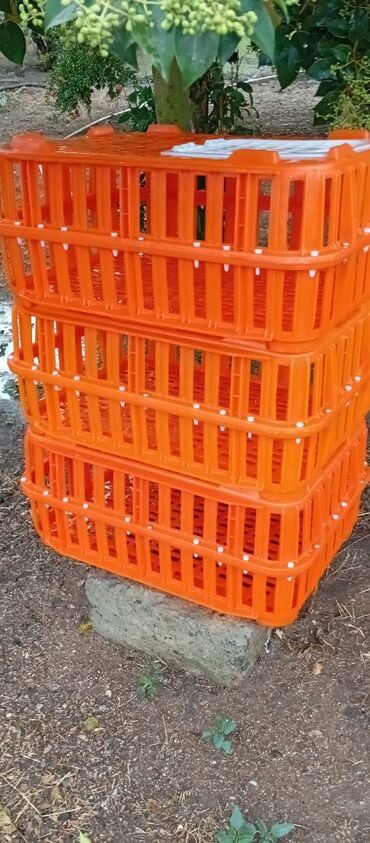 Akvarium aksessuar və ləvazimatları: Təcili satılır.6 ədədi 240manat — 8