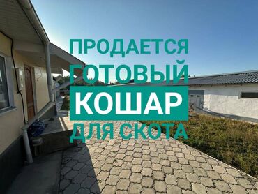 куплю дом село ленинское: Продаю Продаю Кошара, 24 соток, Действующий, Частично с оборудованием, Газ, Электричество, Водопровод