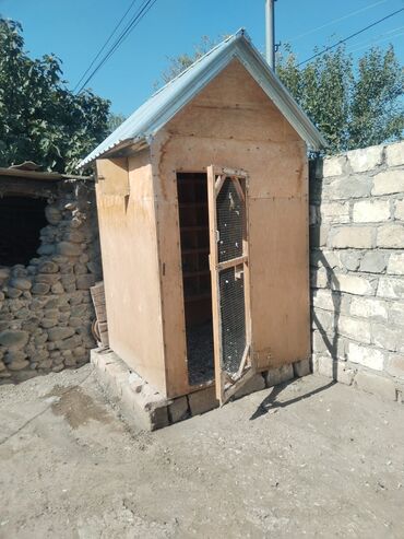 pişik ucun daraq: Col hündürlüyü 3 m iceri hündürlüyü 2 m eni 1m 50 s yani bir dik boyu at lalafo.az pişik ucun daraq: Col hündürlüyü 3 m iceri hündürlüyü 2 m eni 1m 50 s yani bir dik boyu