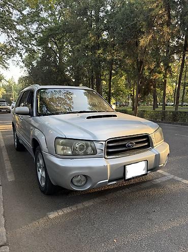 продажа форестер: Subaru Forester: 2003 г., 2 л — 3