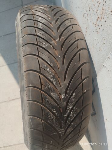 toros disk: İşlənmiş Şin BFGoodrich R 16