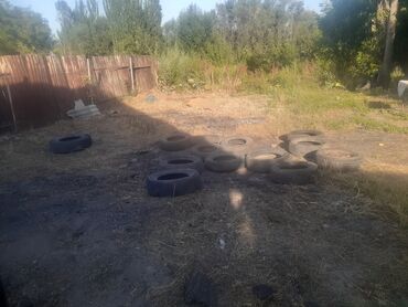 ретиноевая мазь цена бишкек: Продаю б/у болон разные размер 13 14 15 16 цена любой цена 250 кроме