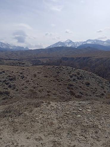 Продажа участков: 787 соток, Для сельского хозяйства, Красная книга, Договор купли-продажи — 7