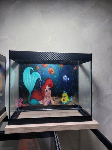 Akvariumlar: Şüşə akvarium – dekorativ fonlu modellər ölçü 30×25×15 Məhsul təsviri — 6