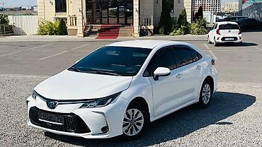 коврик багажника: Toyota Corolla: 2020 г., 1.8 л, Вариатор, Гибрид, Седан — 1