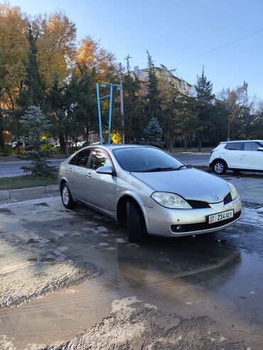 авто в рассрочку без банка без первоначального взноса в бишкеке: Nissan Primera: 2004 г., 1.8 л, Автоматтык, Бензин, Седан