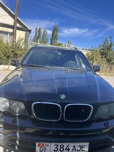 BMW: BMW X5: 2002 г., 4.4 л, Автомат, Бензин, Внедорожник — 2