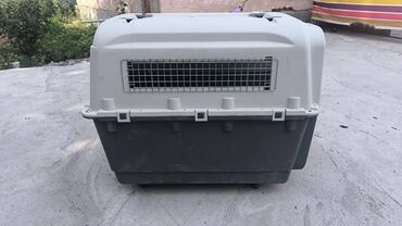 gps tracker для животных: Прочная переноска для животных, предназначенная для безопасной и