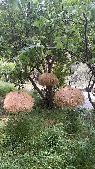 bambu: Təbii lifdən hazırlanmış asma abajur/лампа плафонları - Material — 3