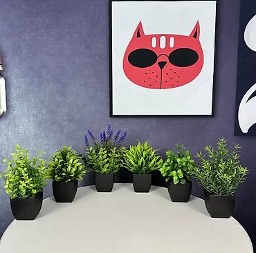 dipçək: 📍 “İstər ofis, istər ev – hər məkana uyğun, keyfiyyətli və dayanıqlı — 7