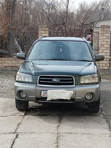 Subaru: Subaru Forester: 2004 г., 2 л, Автомат, Бензин, Кроссовер — 12