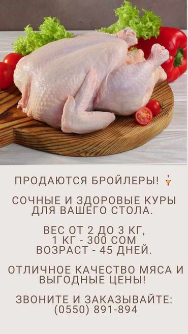курица мяса: Эт, балык, канаттуу
