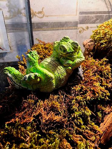 Зоотовары: 🌿 Украшения и декорации для аквариумов и террариумов 🌿 Продаю — 3