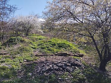 Torpaq sahələrinin satışı: 10 sot, Tikinti, Mülkiyyətçi, Müqavilə — 9