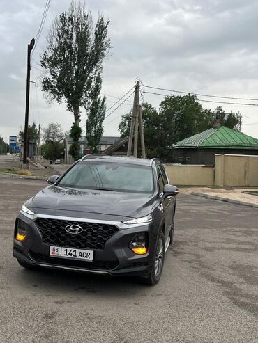 ауди 100 квадра: Hyundai Santa Fe: 2019 г., 2 л, Автомат, Бензин, Кроссовер