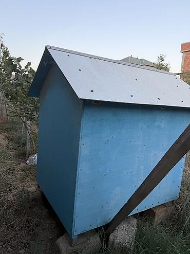 heyvanlar itler: İt evi – taxta konstruksiyalı, ikitərəfli maili damlı - Material — 4