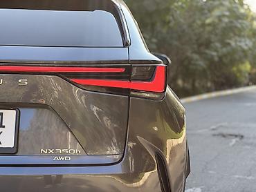 окончательно: Lexus NX: 2022 г., 2.5 л, Автомат, Гибрид, Кроссовер — 6