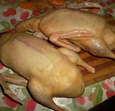 Продаю мясо индоуток, броллерных кур, выращенных в домашних условиях at lalafo.kg Продаю мясо индоуток, броллерных кур, выращенных в домашних условиях