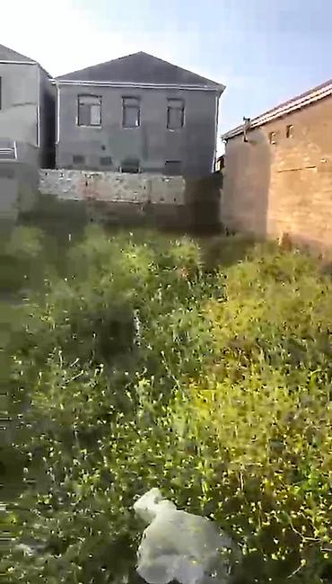 barter kupça: 3 sot, Tikinti, Barter mümkündür, Kupça (Çıxarış) — 2