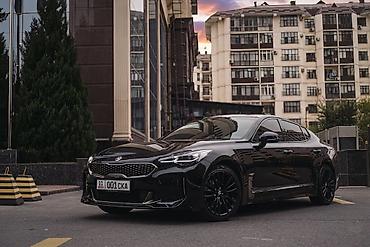 Kia Stinger: 2019 г., 2 л, Автомат, Бензин, Фастбек