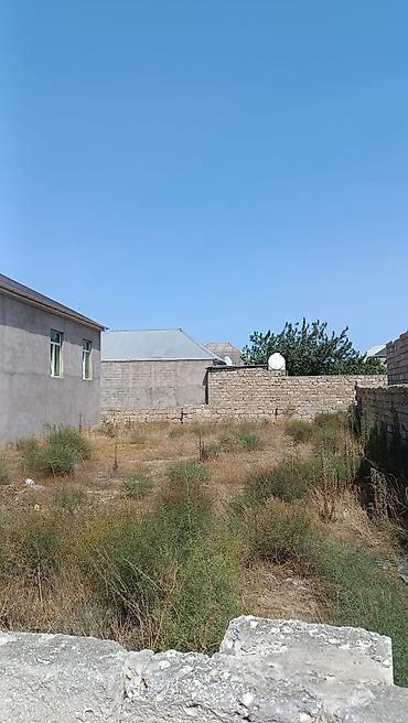 bine torpag: 2 sot, Tikinti, Mülkiyyətçi, Bələdiyyə — 2