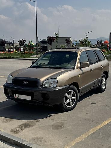 Hyundai: Hyundai Santa Fe: 2003 г., 2.7 л, Автомат, Газ, Внедорожник — 19