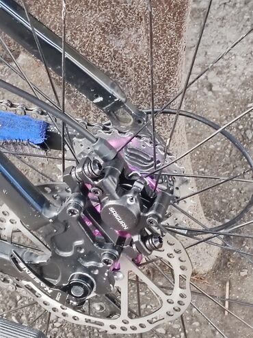 Şəhər velosipedləri: Yeni Şəhər velosipedi Saft, 29", sürətlərin sayı: 32, Ünvandan götürmə — 4