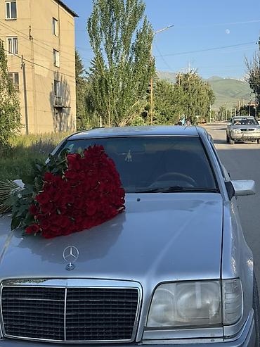 bwb e34: Mercedes-Benz W124: 1993 г., 2.2 л, Механика, Бензин, Седан — 6